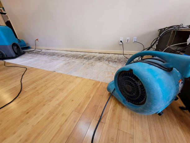Professional Basement Flood Cleanup technician working in Woodlawn, TN